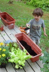 My son adding dirt to the containers before we plant. We're using window boxes, a 12