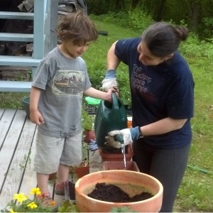 Crosby watering