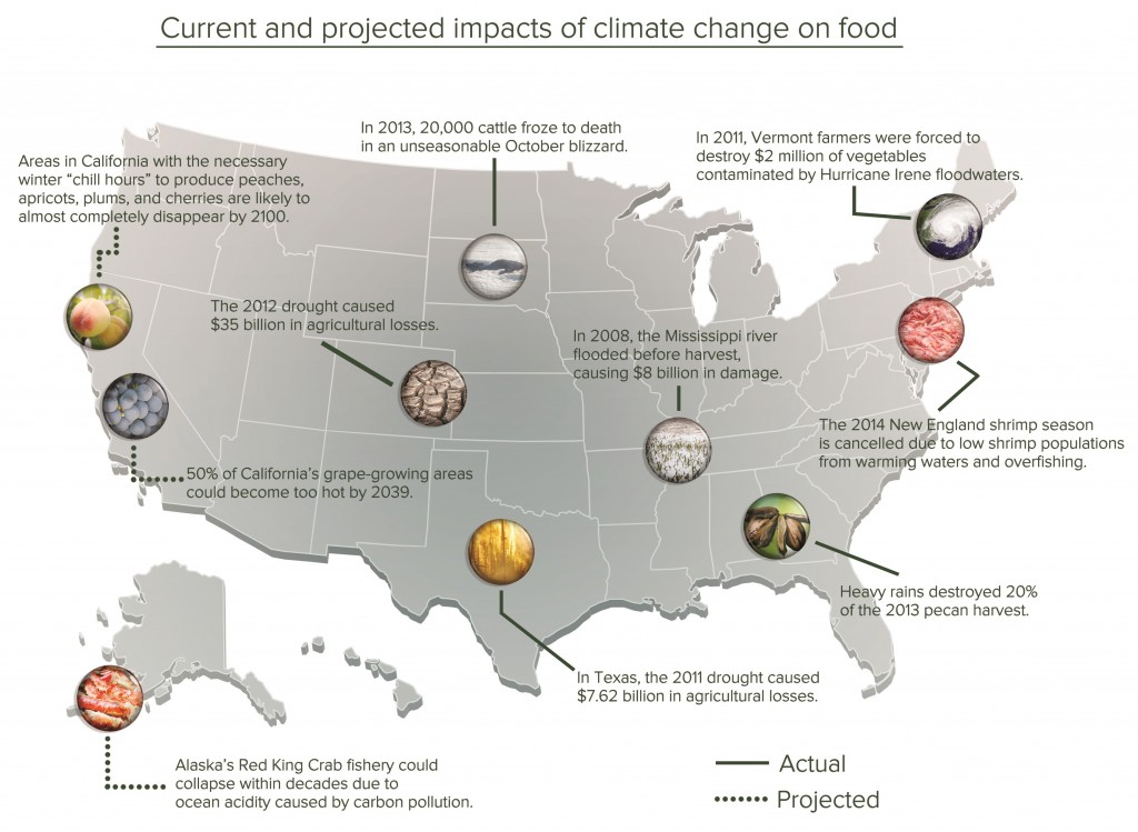 Current and projected impacts of climate change on food.