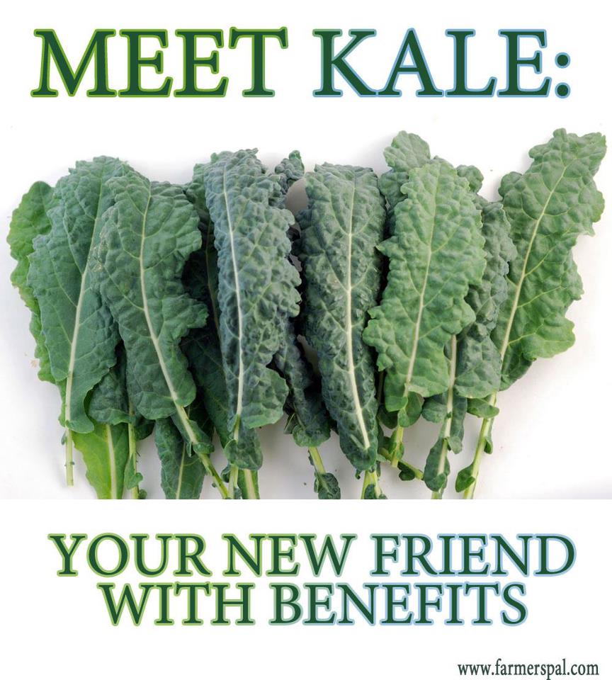 Kale for Breakfast, Lunch, Dinner....and Dessert! MomsRising