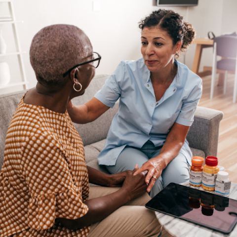 Home caregiver speaking with elderly woman. 