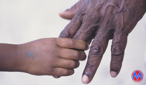 Sign to stop cruelty to Haitians and end deportation flights to Haiti!