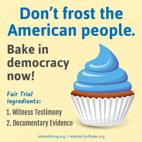 [IMAGE DESCRIPTION: A colorful graphic image with a picture of a cupcake that says "Don't frost the American people. Bake in democracy now!"]