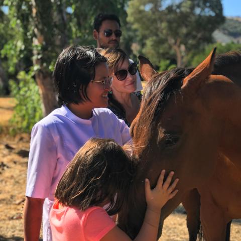 4 people petting a horse