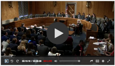 Senate subcommittee hearing on protecting immigrant children
