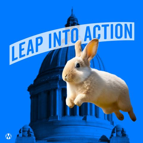 A rabbit leaping over a government building next to a banner that says "Leap into action."