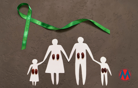 Cut-out family with kidney beans as kidneys