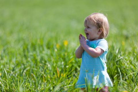 Toddler in field clapping