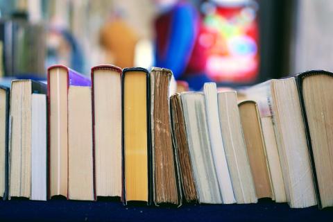 School textbooks lined up on a cart with spines up. Photo by Tom Hermans on Unsplash.