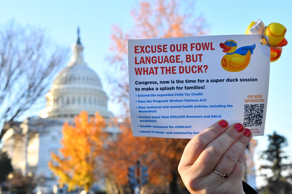 Lame Duck "What the Duck" sign