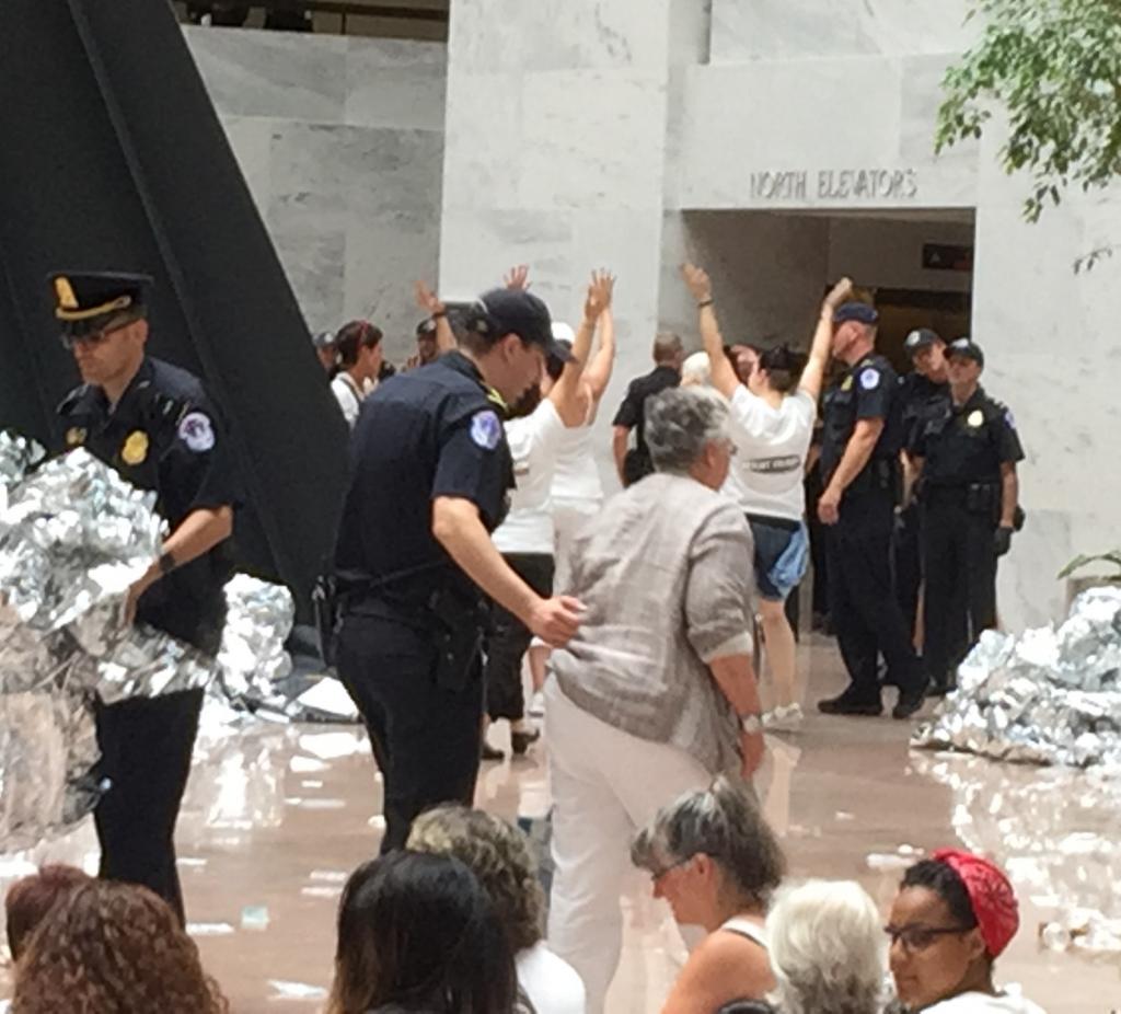 Deborah Weinstein, CHN’s Executive Director, arrested in action at Senate office building.
