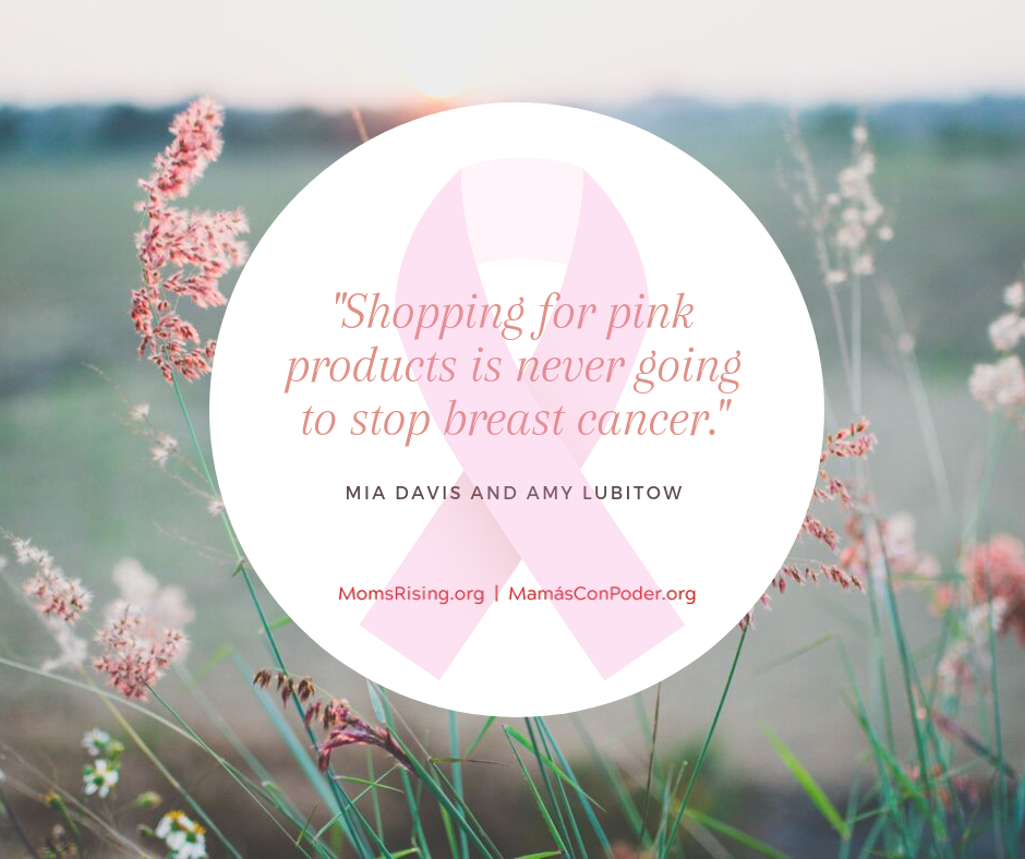 [IMAGE DESCRIPTION: A graphic image with light pink flowery background and a circle in the foreground that reads, "Shopping for pink products is never going to stop breast cancer."]