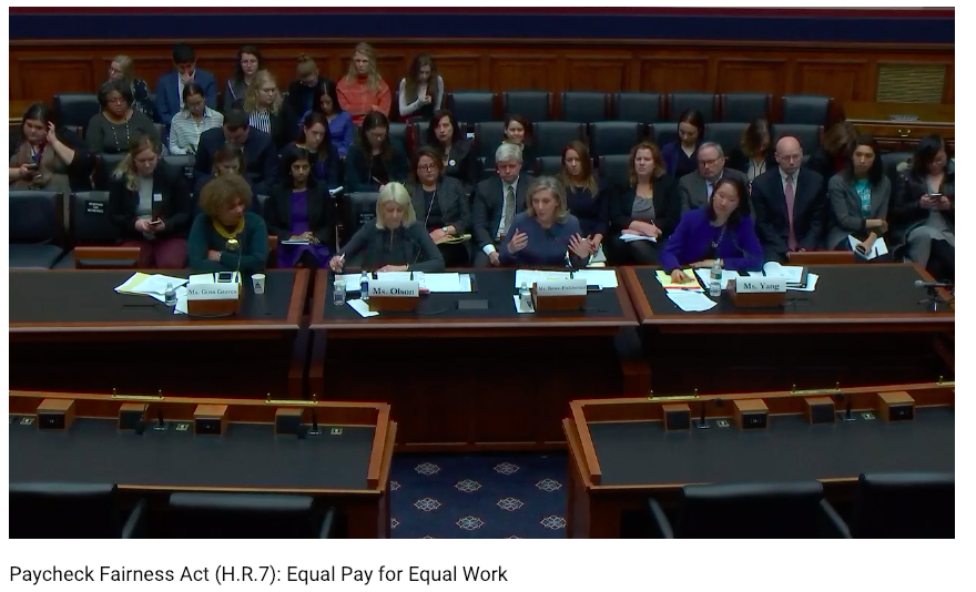 [IMAGE DESCRIPTION: A panel of four people sits behind a large dark wood table at a Congressional hearing on equal pay for equal work.]