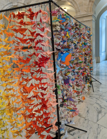 [IMAGE DESCRIPTION: A photo of colorful paper butterflies hanging in Congress]