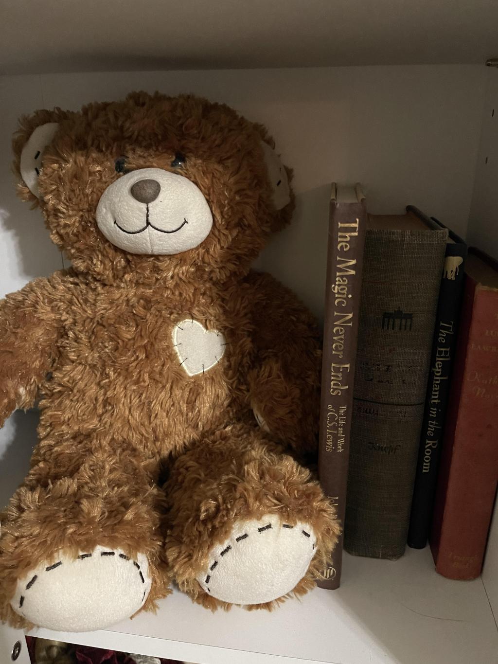 MomsRising Member Toshia Lockhart share a photo of stuffed bear, her spirit animal