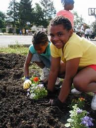 communitygarden