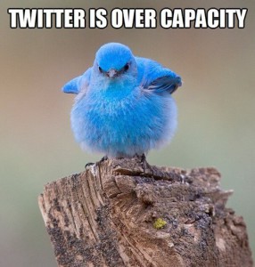 twitter over capacity