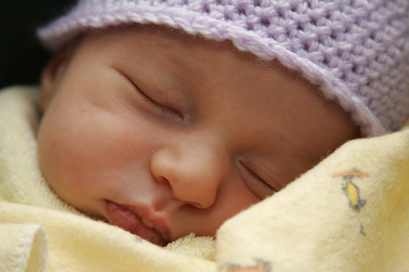 Addy in purple hat